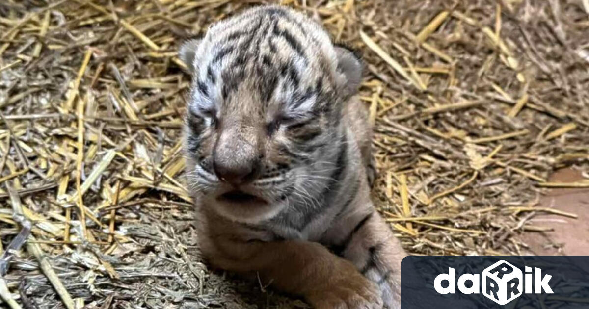 За първи път в историята на зоопарка в Стара Загора