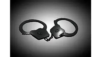 Полицията арестува мъж, обвинен, че е умъртвил 5 телета в землището на с.Арчар