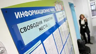 Вижте предложените работни места от Бюрото по труда - Враца