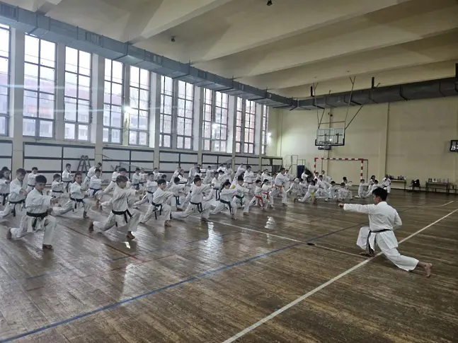 Инициатива, насочена към развитието на шотокан карате в България, се проведе в Сливен