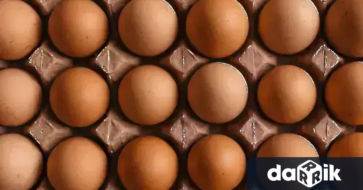 Не се очаква поскъпване на яйцата и пилешкото месо след