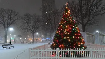 Може ли Коледа да бъде приказно снежна?