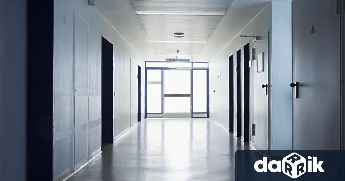 Човешки останки са намерени сред растителност в двора на Многопрофилната