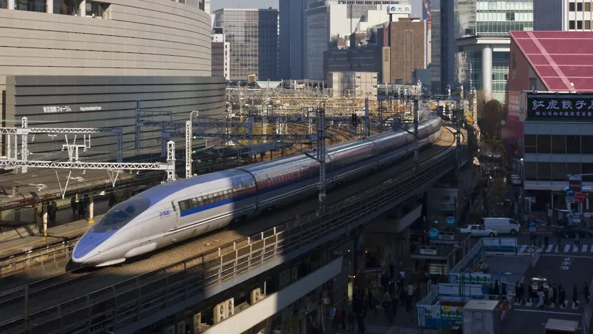 Лебед, излязъл на релсите, причини закъснения на японските влакове-стрела