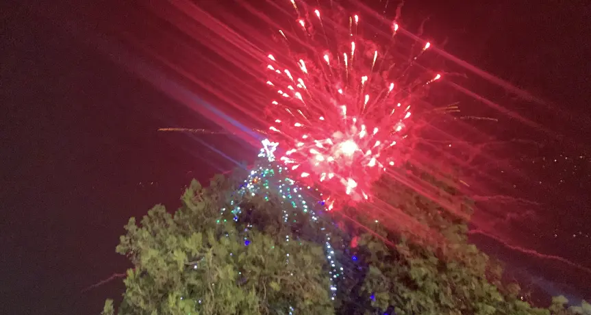 Празнично грейнаха светлините на коледната елха в НУ „Христо Ботев“ – Плевен