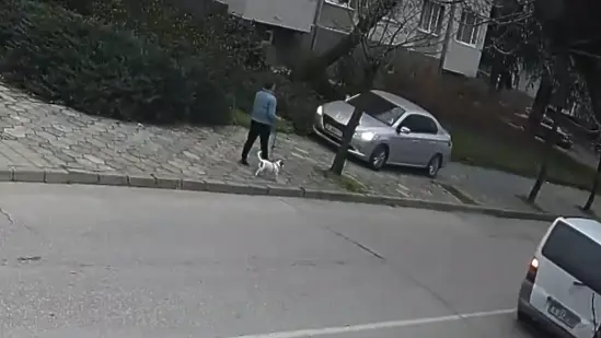 Наглост в Хасково: Движеща се по тротоара кола се размина на косъм с пешеходка с куче (ВИДЕО)