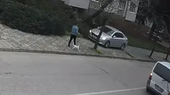 Наглост в Хасково: Движеща се по тротоара кола се размина на косъм с пешеходка с куче (ВИДЕО)