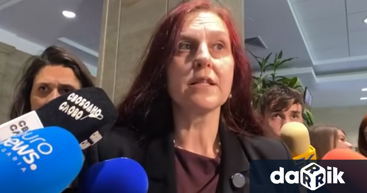 Елисавета Белобрадова от ДБ с коментар пред журналисти по повод