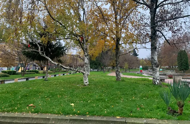 В събота времето ще бъде облачно с валежи от дъжд