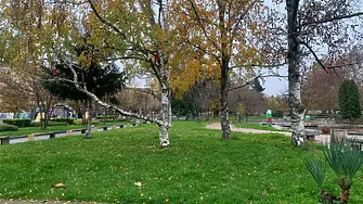 В събота времето ще бъде облачно с валежи от дъжд