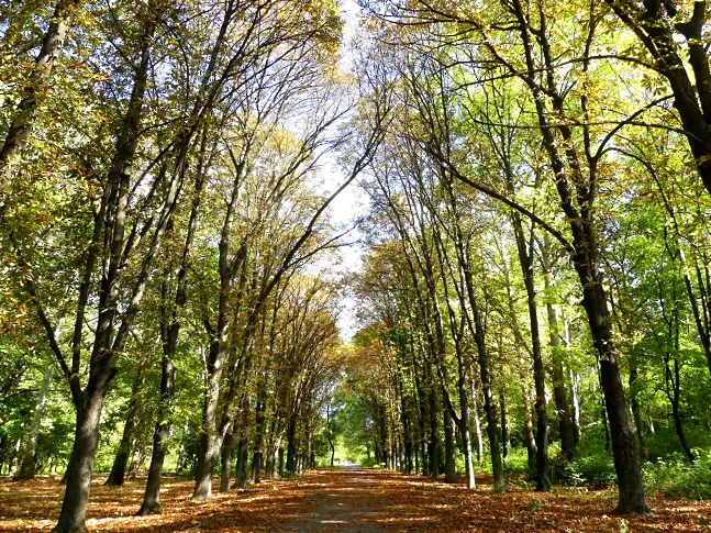 Община Нова Загора с нов мащабен международен проект за по-добра градска среда и климатична устойчивост