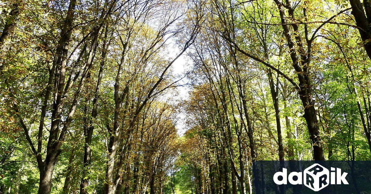 Община Нова Загора с нов мащабен международен проект за по