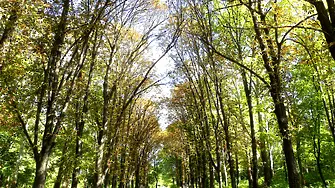 Община Нова Загора с нов мащабен международен проект за по-добра градска среда и климатична устойчивост