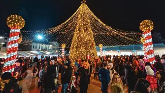 Коледната елха във Враца грейна с хиляди светлини