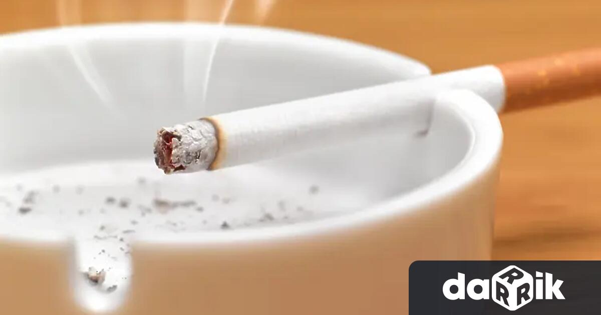 Общо 26 6 от учениците в момента употребяват тютюневи изделия