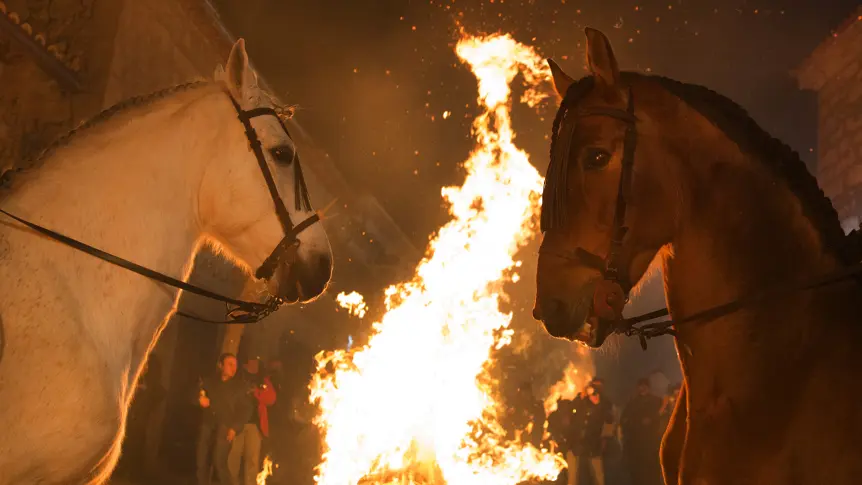 2026 ще промени всичко: Какво предсказва годината на Огнения Кон