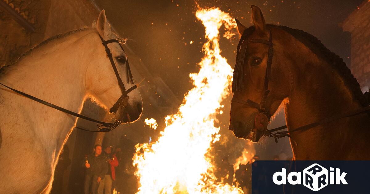 Много хора се надяват 2026 година да бъде по спокойна