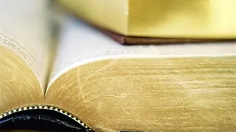 10 декември - Международен ден на човешките права