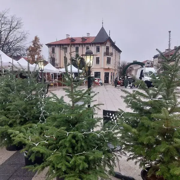 Северозападно държавно предприятие с инициатива в подкрепа на даровити ученици във Враца