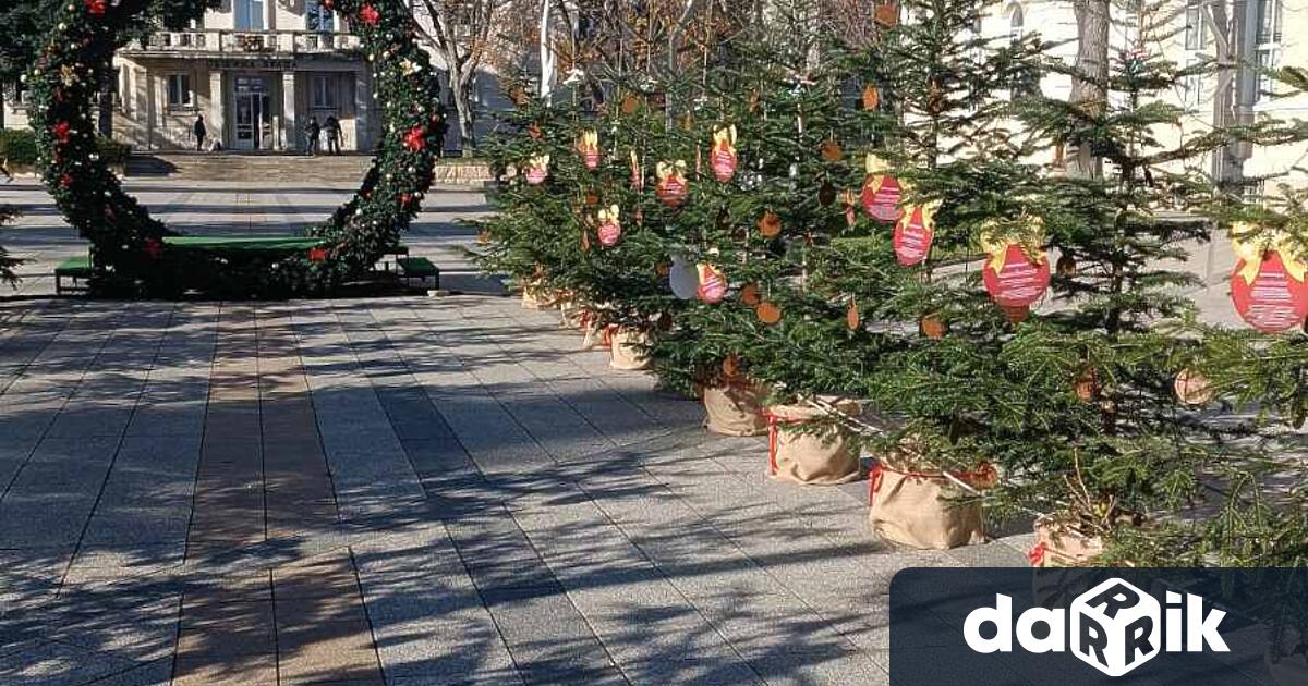 Северозападно държавно предприятие ДП обяви имената на даровитите ученици отличени