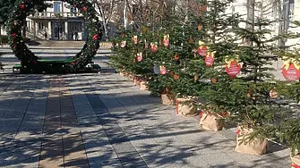 Обявени са даровитите деца в инициативата „Да си знаещ е модерно! Жива елха за любознателни деца“