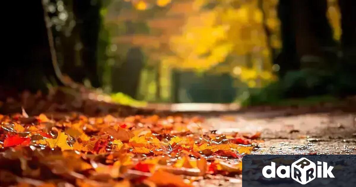 В петък сутрин ще има мъгли на много места предимно