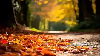 Мъгливо утро и слънчев следобед днес