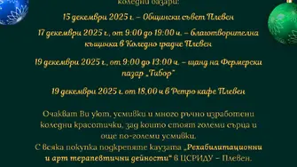 Да подкрепим Коледния  благотворителен базар на ЦСРИДУ - Плевен