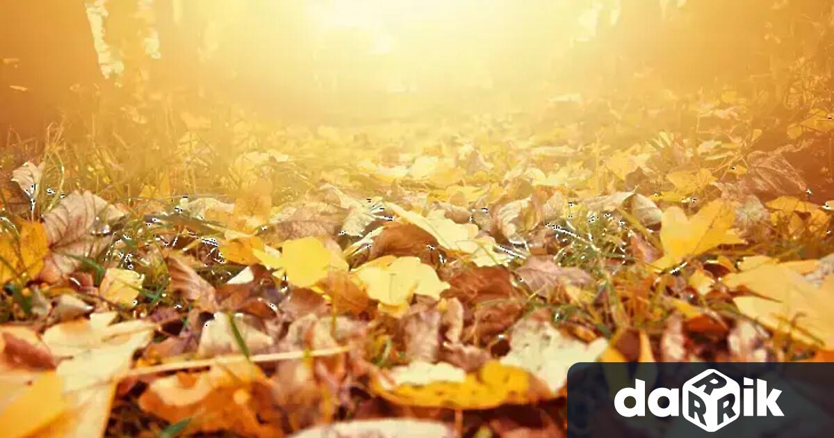 Днес преди обяд в равнините и котловините ще бъде мъгливо