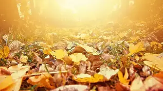 И мъгливо, и слънчево ще бъде времето днес