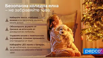 Коледа с куче и котка: безопасна елха, украса и дом - практическо ръководство