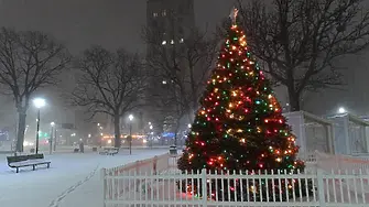 Анастасия Стойчева: Ако на Коледа не, то на Нова година все по-голяма става вероятността да вали сняг