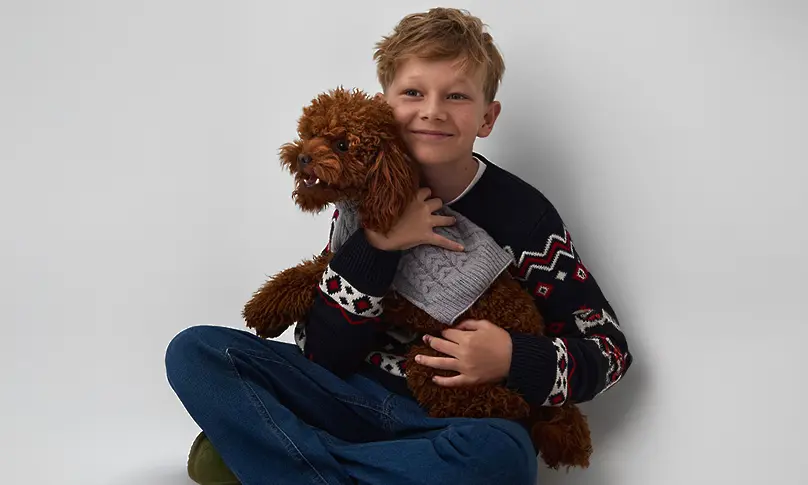 Коледа с куче и котка: безопасна елха, украса и дом - практическо ръководство