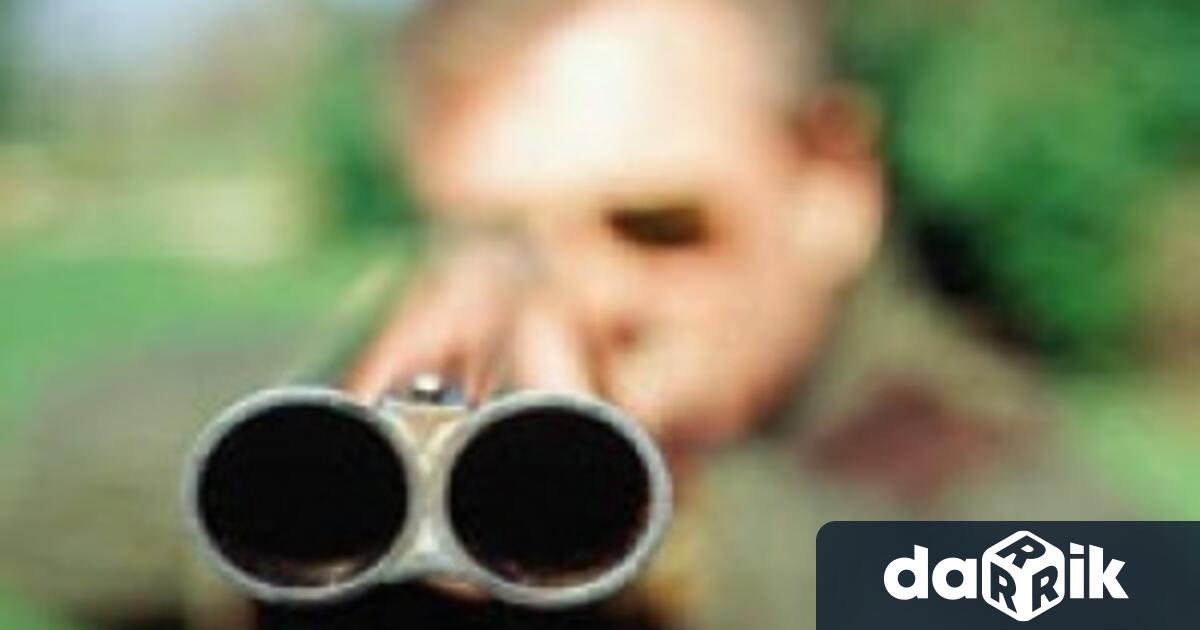 Мъж е застрелял котката на свой съсед Инцидентът е станал