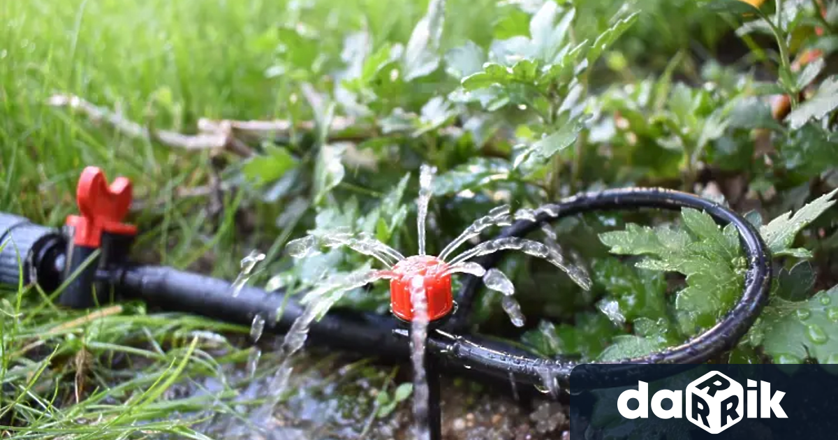 Водата за напояване в България поевтинява Това обясни в студиото