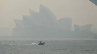 Двама души са задържани след сигнали за изстрели и ранени на емблематичния плаж Бонди в Сидни