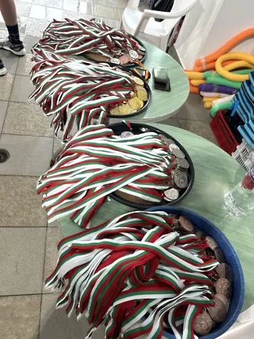  Повече от 200 деца се включиха в обичайния Коледен шампионат по плуване в Плевен 