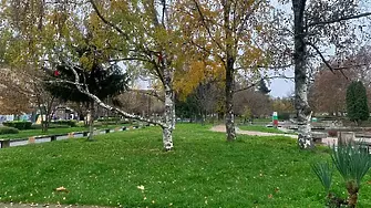 В неделя сутринта ще има мъгла, която постепенно ще се разсее