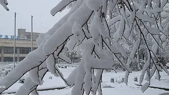 Вали сняг в Северозапада