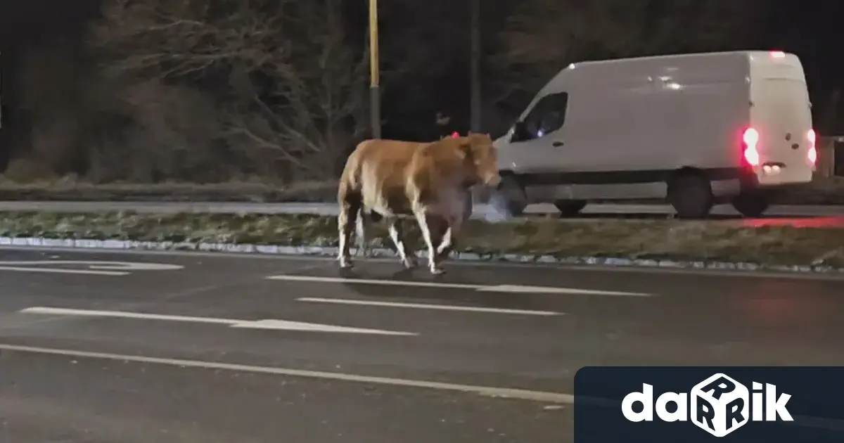 В странна ситуация са изпаднали служители на реда от Прешов