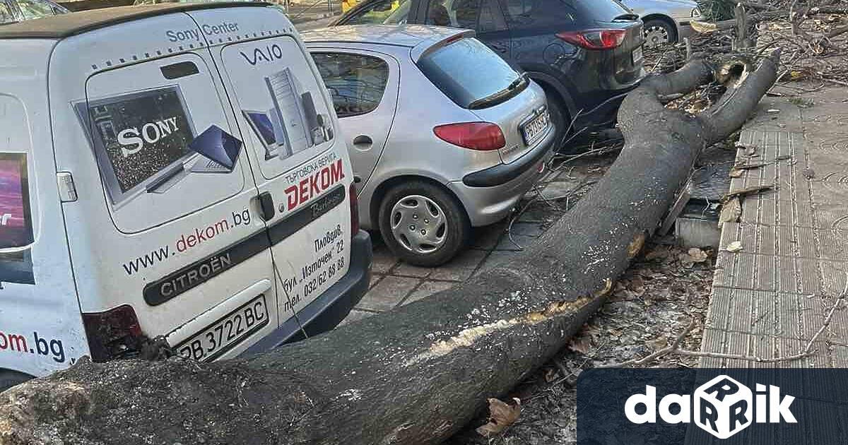 Силните пориви на вятъра през целия ден създадоха усложнена обстановка