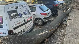 Щети и затруднено движение след пориви над 80 км/ч в Пловдив и областта