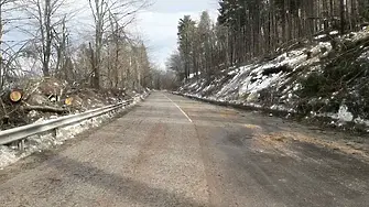 Сняг заваля тази нощ на прохода „Петрохан”