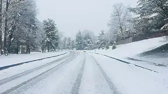 Информация за зимната обстановка в община Плевен на 25 декември 2025 г.