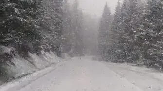 Над 15 сантиметра сняг във високите части на Смолянско