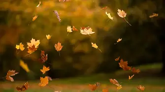 Жълт кода за силен вятър в 24 области, в планините – бурен