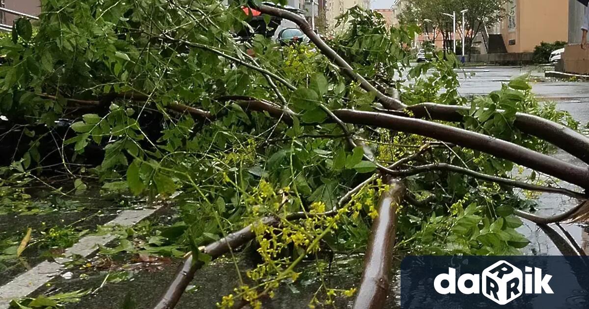 Екипите на пожарната в София са реагирали на седем сигнала