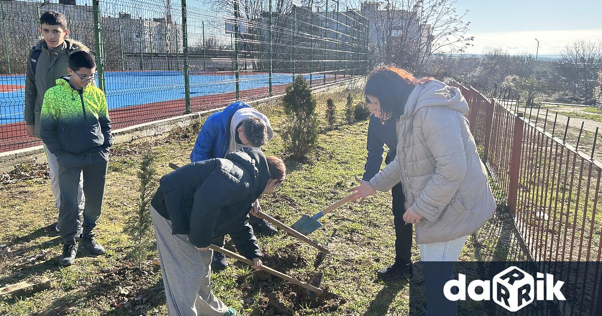 Коледа е време за добри дела споделени ценности и поглед