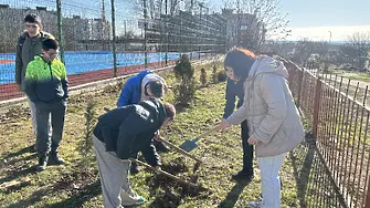 Ученици от ДФСГ „Интелект“ се включиха в инициативата „Засади дърво за Коледа“