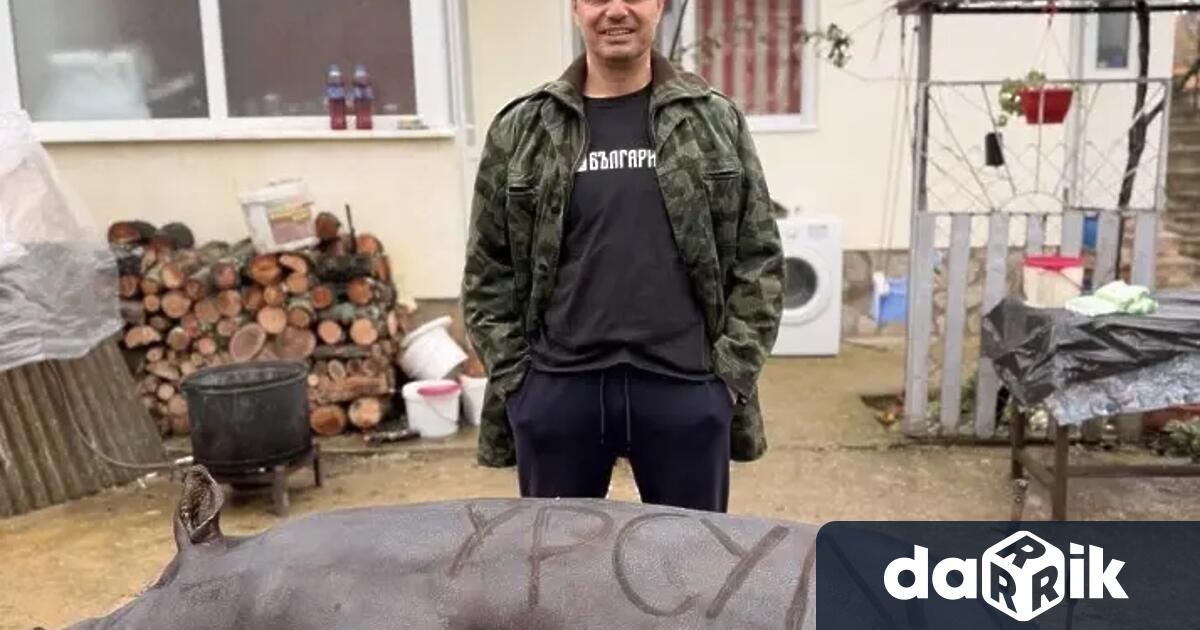 Вчера заклахме Урсула Урсула е свиня Купихме я в началото